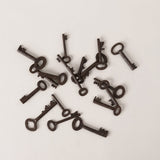 123home | Rusted Iron Vintage Mini Display Keys
