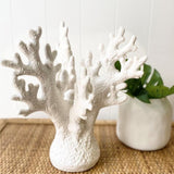 Ivory House | Mode Coral Decorative Sculpture