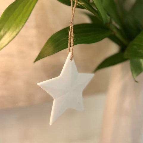 Lucia Matte White Star Christmas Decoration