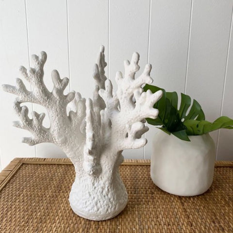 Ivory House | Mode Coral Decorative Sculpture